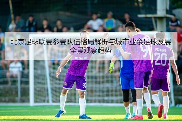 北京足球联赛参赛队伍格局解析与城市业余足球发展全景观察趋势