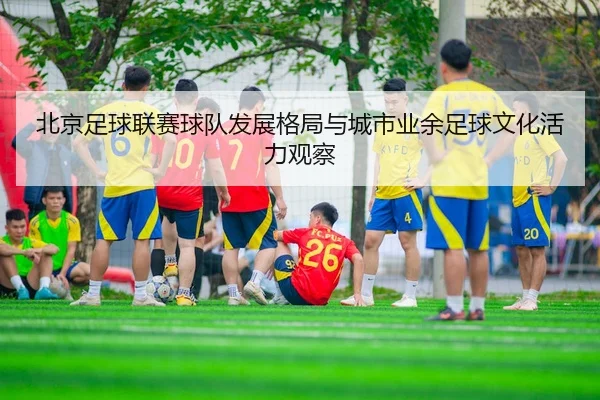 北京足球联赛球队发展格局与城市业余足球文化活力观察