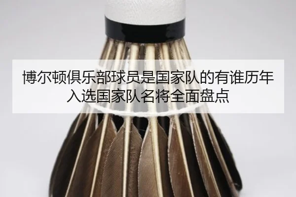 bo-er-dun-ju-le-bu-qiu-yuan-shi-guo-jia-dui-de-you-shui-li-nian-ru-xuan-guo-jia-dui-ming-jiang-quan-mian-pan-dian-2-500.jpg